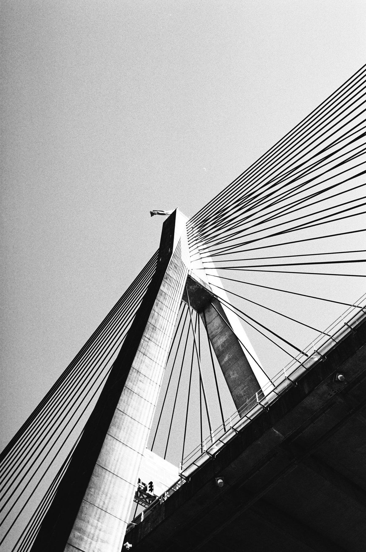 Cable-stayed bridge pylon in black and white